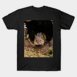 Chipmunk peeks out of his log home T-Shirt